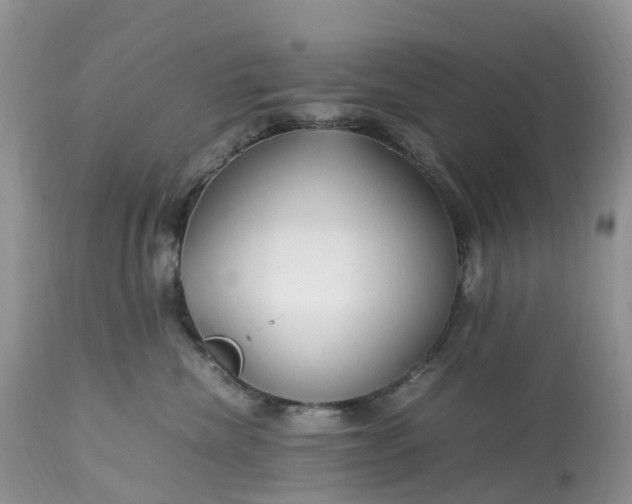 X0000113090476200909111032