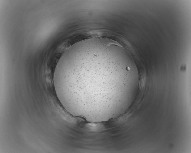 X0000113090477200909111032