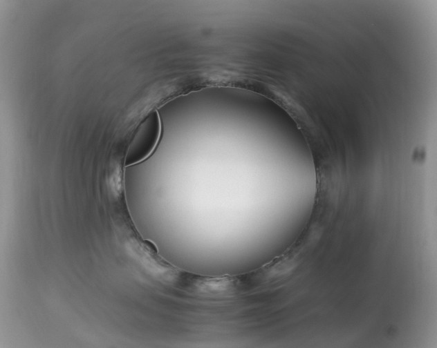 X0000113090479200909111032