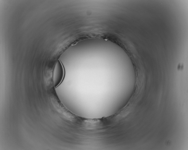 X0000113090480200909111032