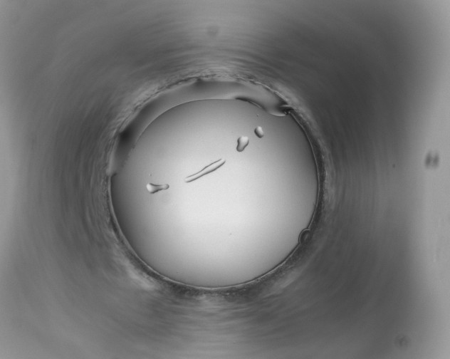 X0000113090481200909111031