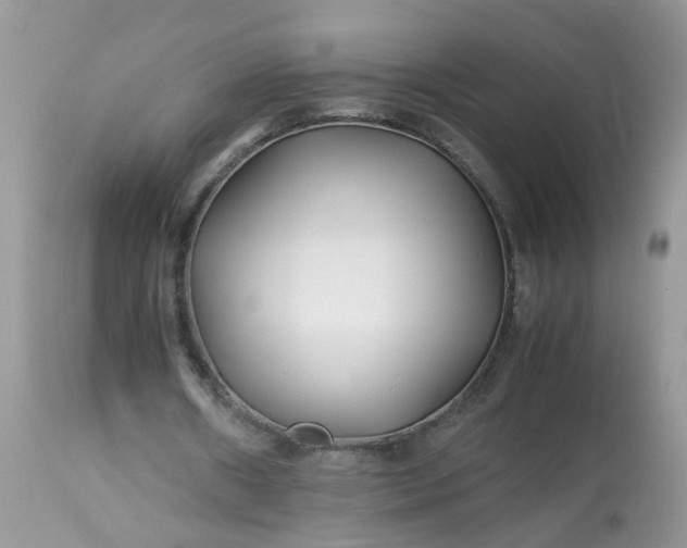 X0000113090482200909111031