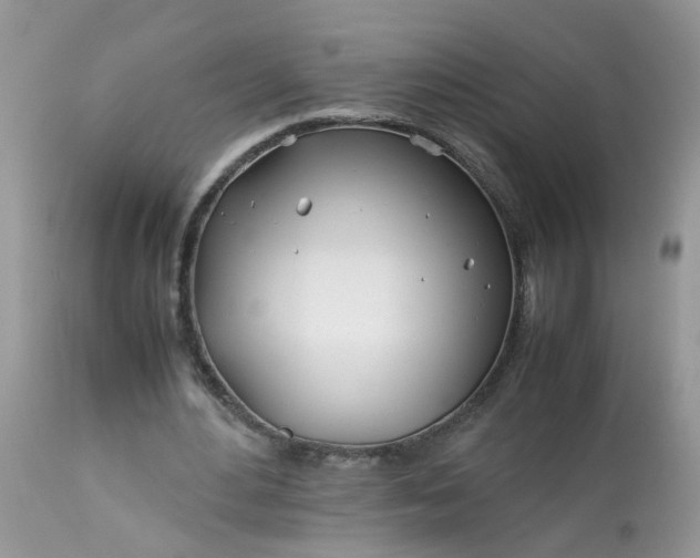 X0000113090484200909111031