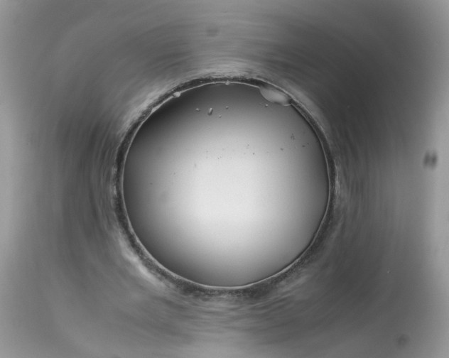 X0000113090485200909111031