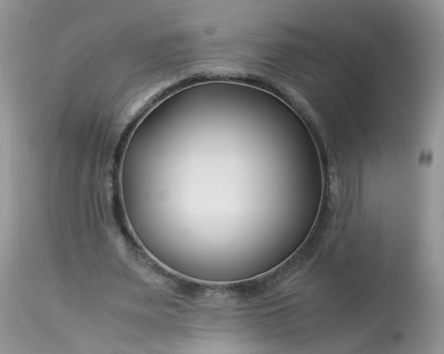 X0000113090487200909111031