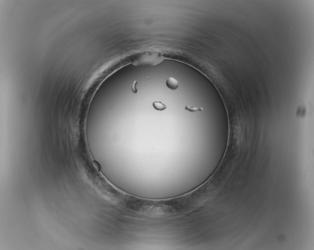 X0000113090488200909111031