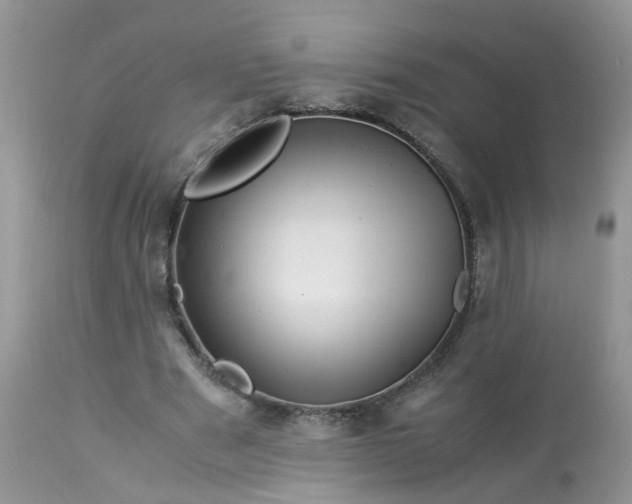X0000113090489200909111031