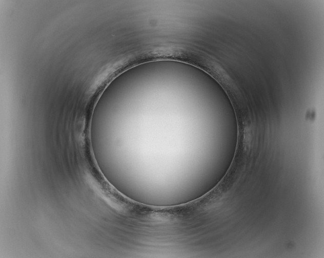 X0000113090490200909111031