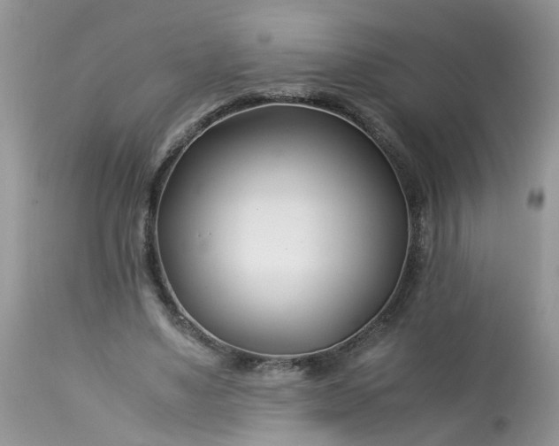 X0000113090491200909111031