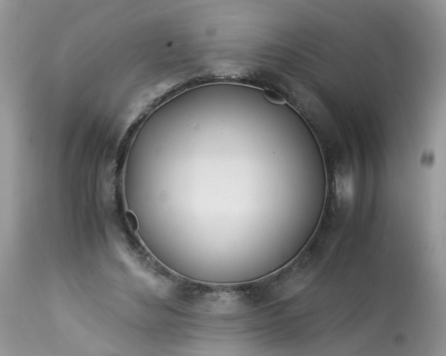 X0000113090492200909111031