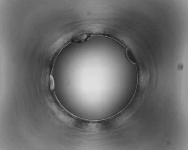 X0000113090493200909111031