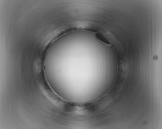 X0000113090496200909111031