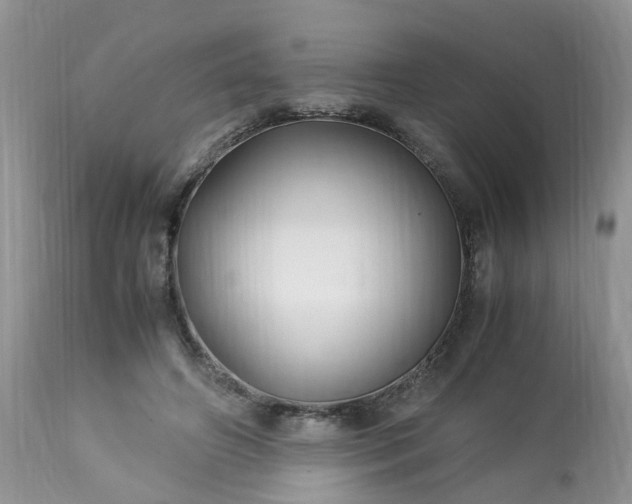 X0000113090498200909111031