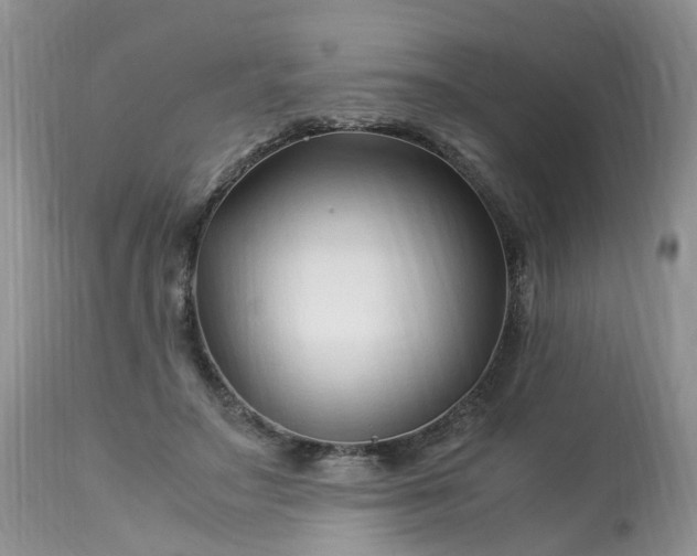 X0000113090499200909111031