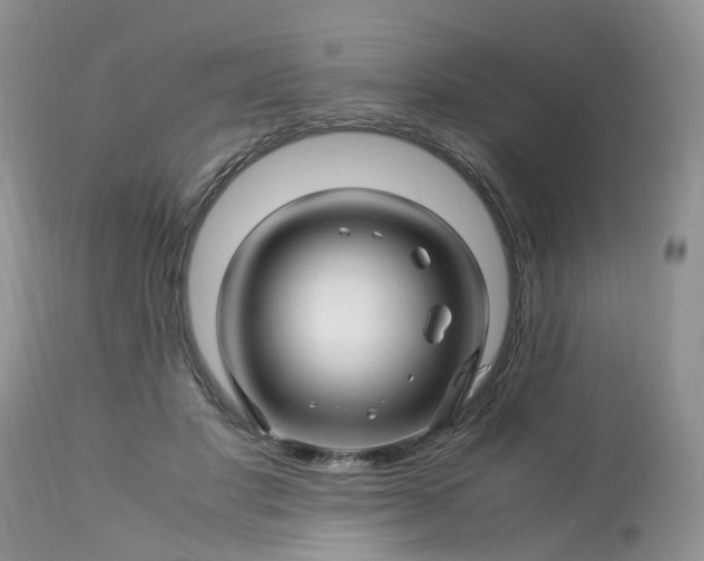 X0000113090501200909111031
