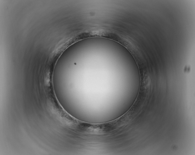 X0000113090502200909111031