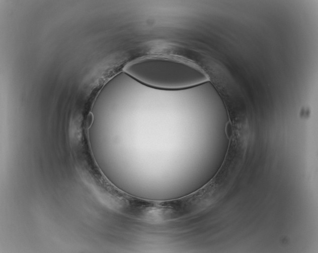 X0000113090504200909111031