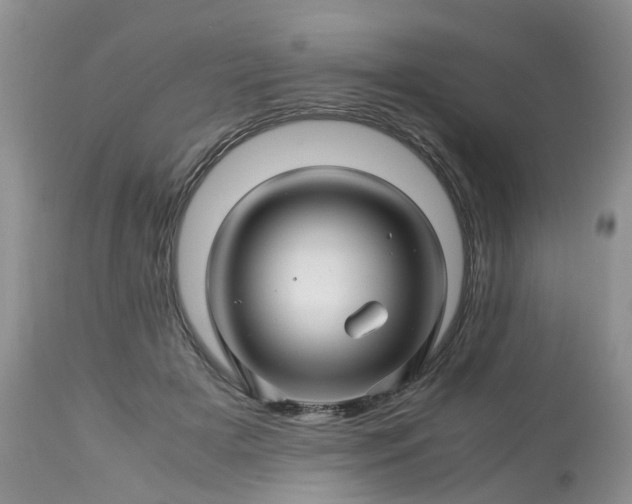 X0000113090505200909111031