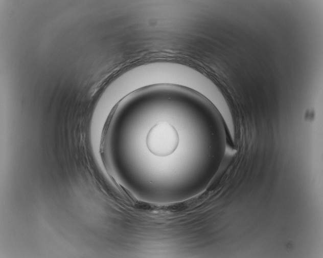 X0000113090508200909111031