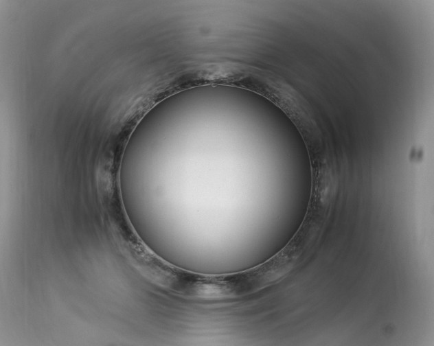 X0000113090510200909111031