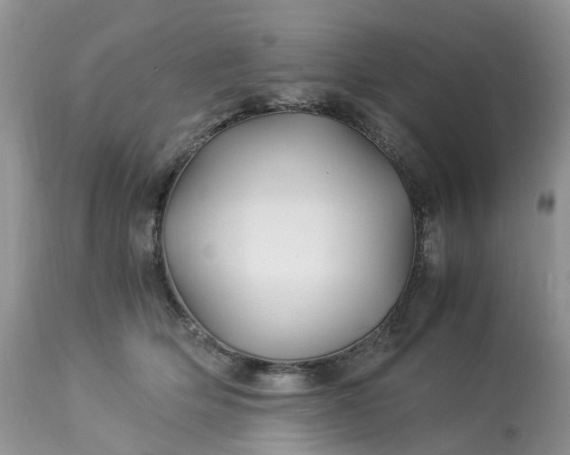 X0000113090514200909111030