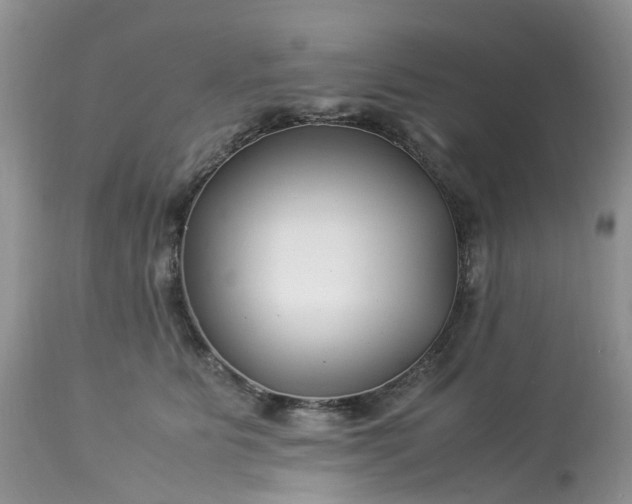 X0000113090515200909111030