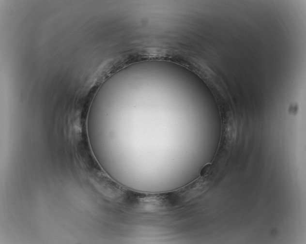 X0000113090516200909111030