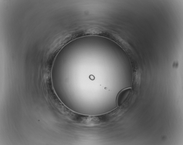 X0000113090517200909111030