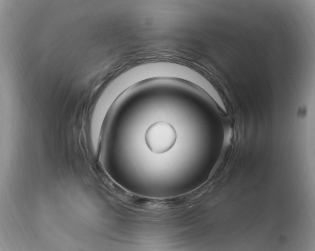 X0000113090520200909111030