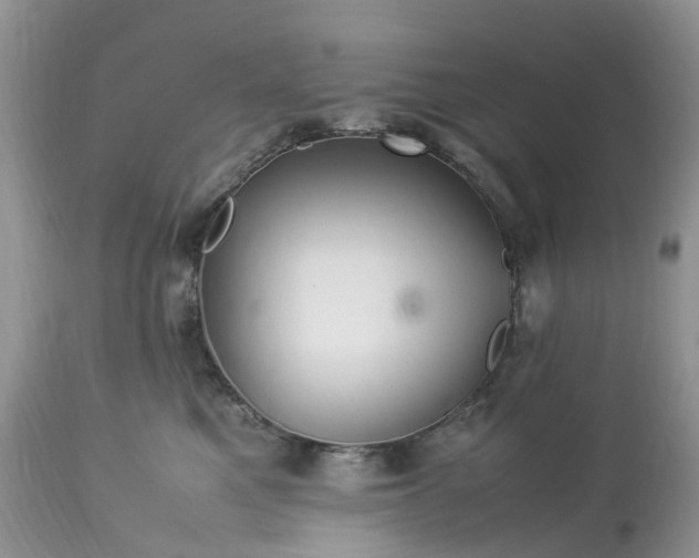 X0000113090521200909111030