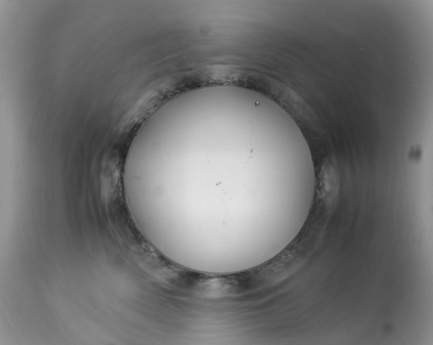 X0000113090522200909111030