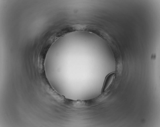 X0000113090525200909111030