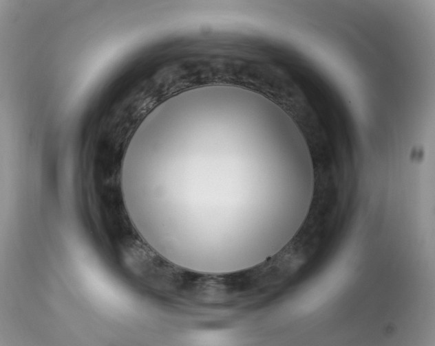 X0000113090526200909111030