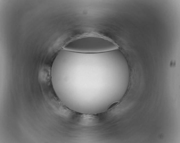 X0000113090528200909111030