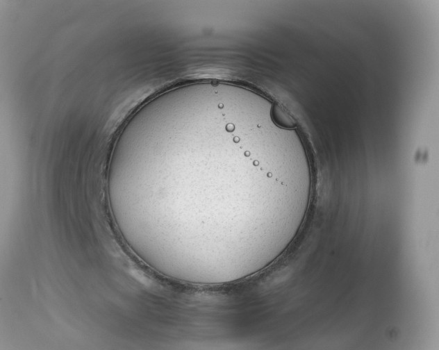 X0000113090529200909111029