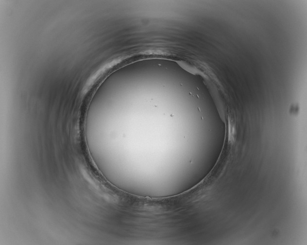 X0000113090531200909111029