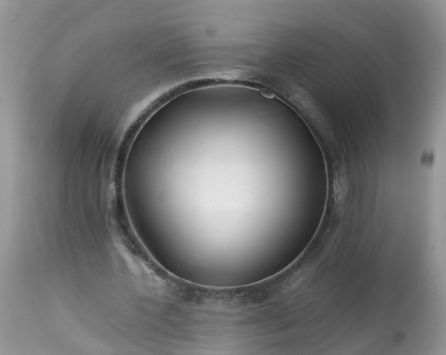 X0000113090532200909111029