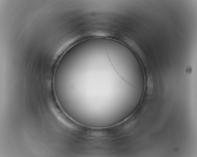 X0000113090533200909111029
