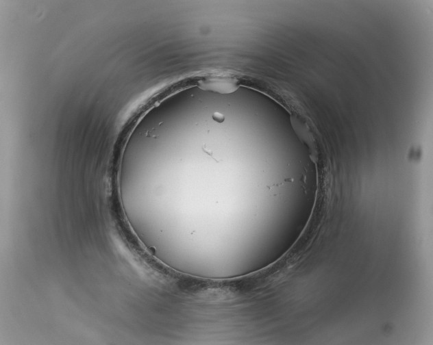 X0000113090536200909111030