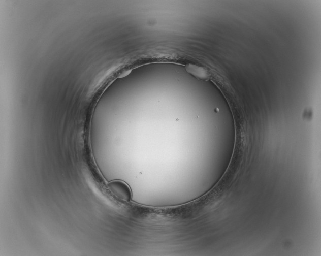 X0000113090538200909111030