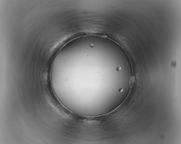X0000113090539200909111030