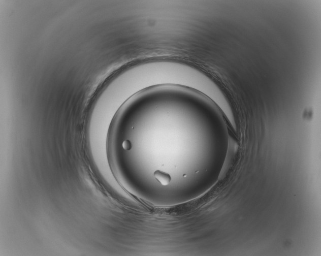X0000113090540200909111030