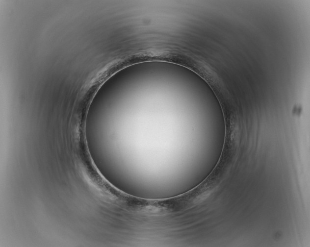 X0000113090542200909111030