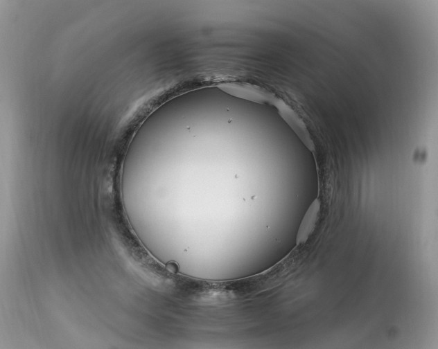 X0000113090543200909111030