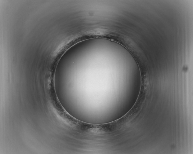 X0000113090544200909111030