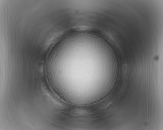 X0000113090545200909111030