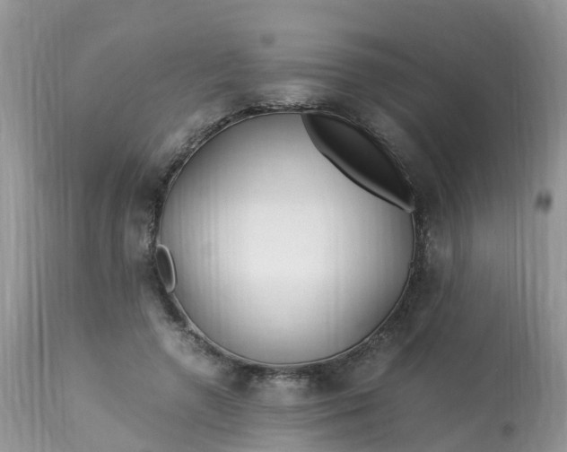 X0000113090546200909111030