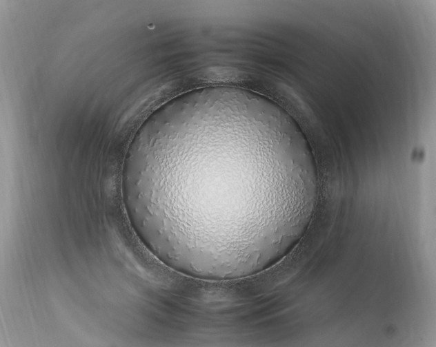X0000113090549200909111030