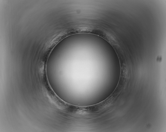 X0000113090550200909111030