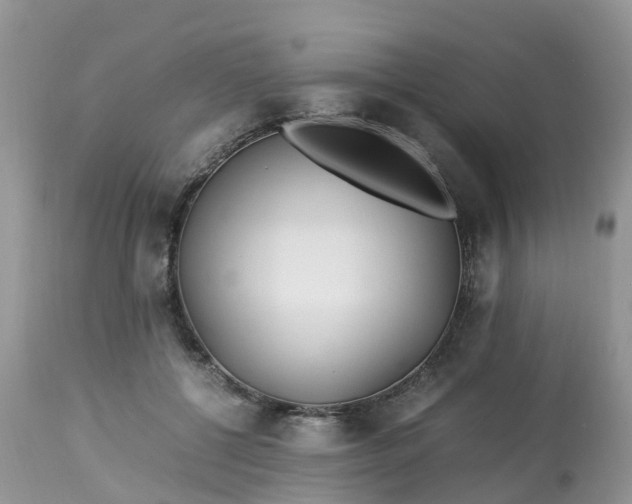 X0000113090552200909111030